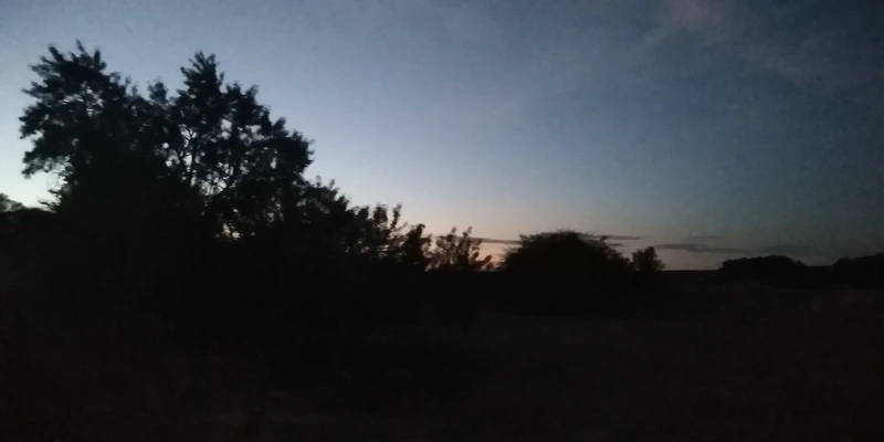 Donde ahora se juntan los conejos.