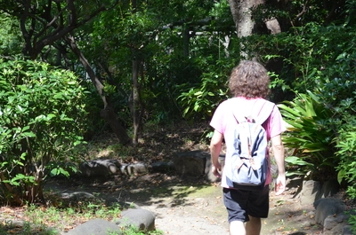 Caminando hacia el bosque.